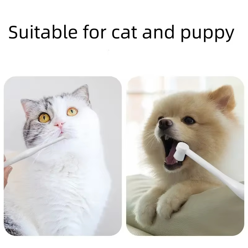 Teeth Whitening Mouthwash - 丸頭ペット歯ブラシ口臭除去歯石ケアソフトブラシ犬猫口腔クリーニング歯ブラシペットクリーニング用品