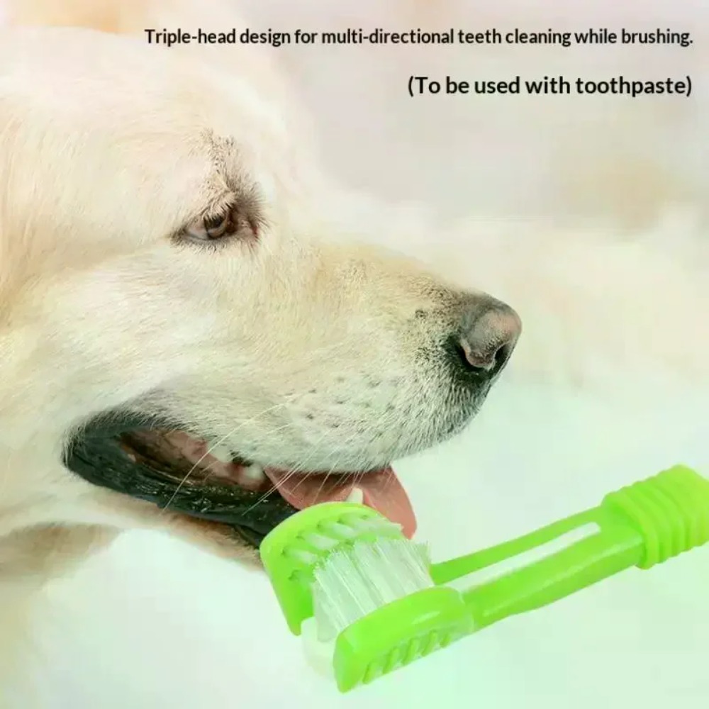 3面ペット歯ブラシ犬猫歯科口腔ケアブラシ口臭歯石除去プラスチ - Teeth Whitening Mouthwash のレビューと価格