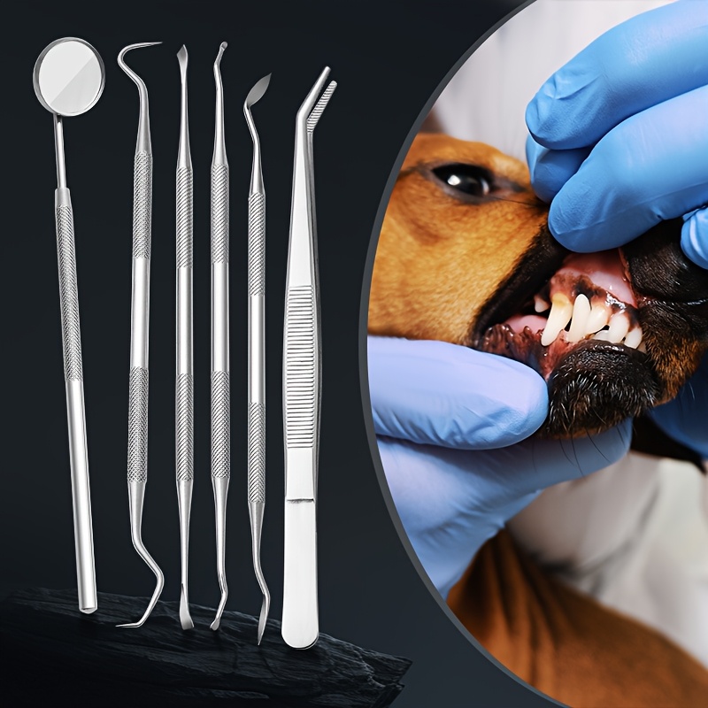 犬と猫用の6個入りサウンドウェーブ歯石除去器 |   歯のク - Teeth Whitening Mouthwash のレビューと価格