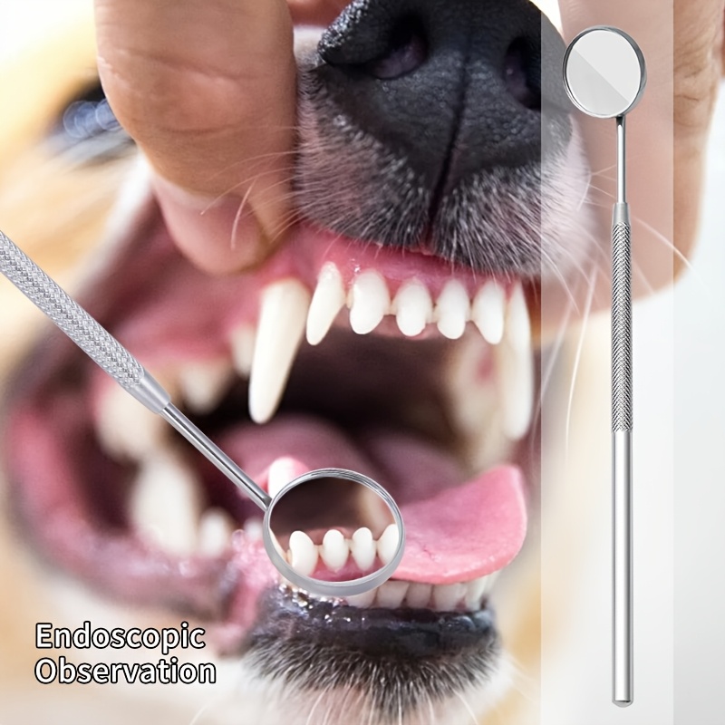 犬と猫用の6個入りサウンドウェーブ歯石除去器 |   歯のク - Teeth Whitening Mouthwash のレビューと価格