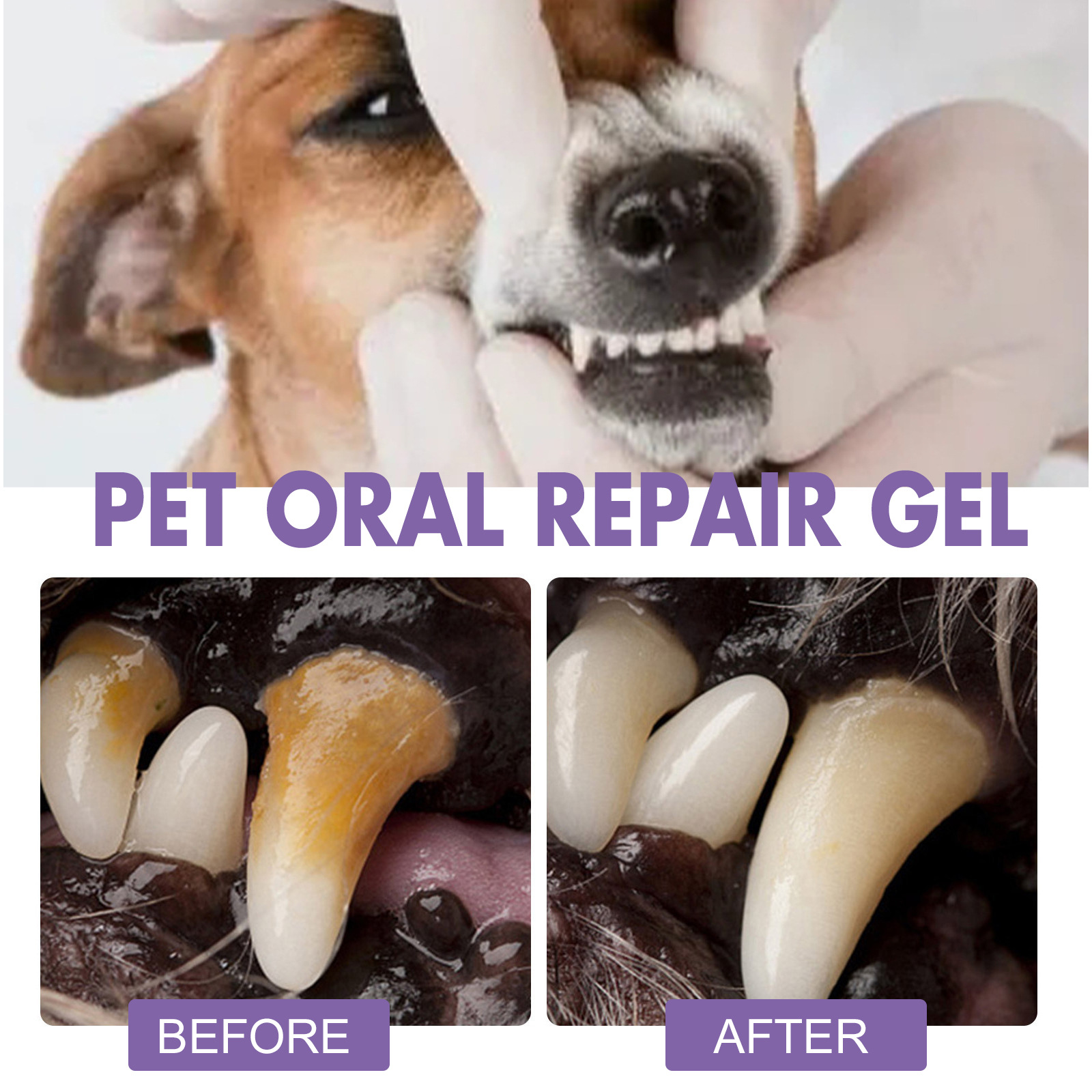 ペット口腔修復ジェル子犬歯石除去消臭剤白くする猫犬歯ステイン - Teeth Whitening Mouthwash のレビューと価格